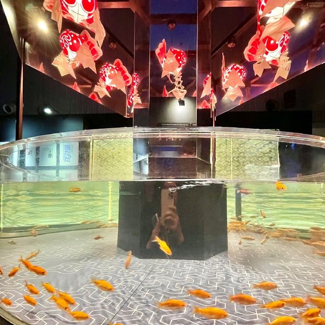 インスタ映えすると話題の水族館