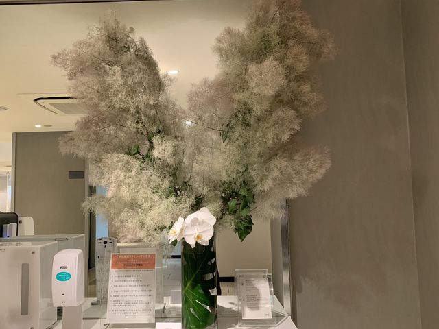 札幌　快適ホテルステイ　ANAホリデイ・イン札幌すすきの に宿泊してきた❗️