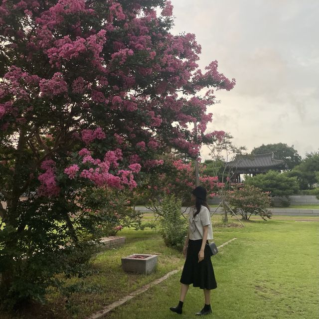안산의 피크닉 명소, 화랑유원지