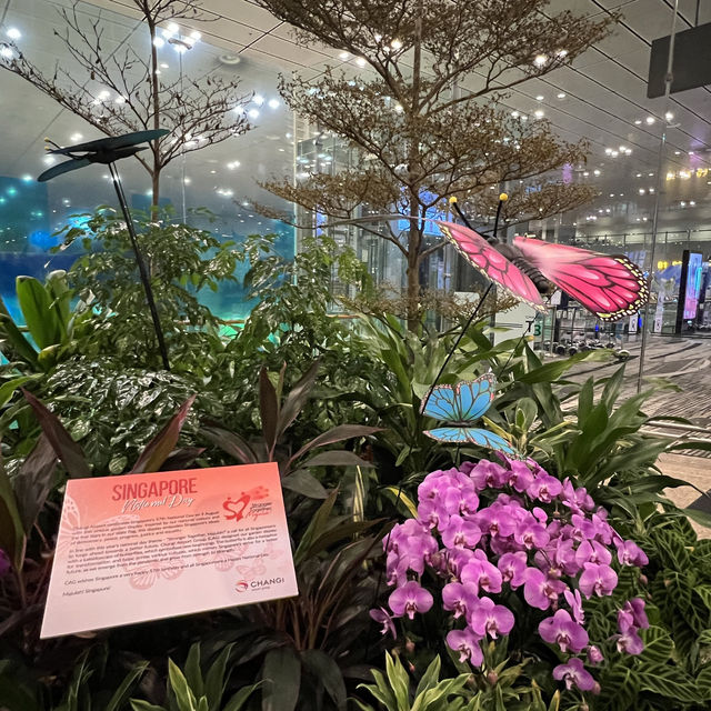 ✈️ Changi Airport August special 