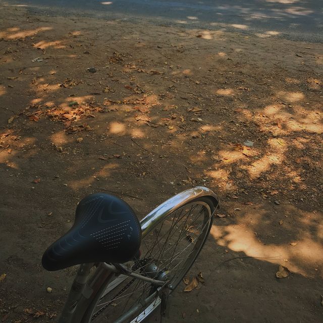 자전거 타고 숨은 관광지 도장깨기 💡미얀마 바간