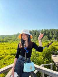 ทุงโปรงทองระยองฮิ 🍃🌳