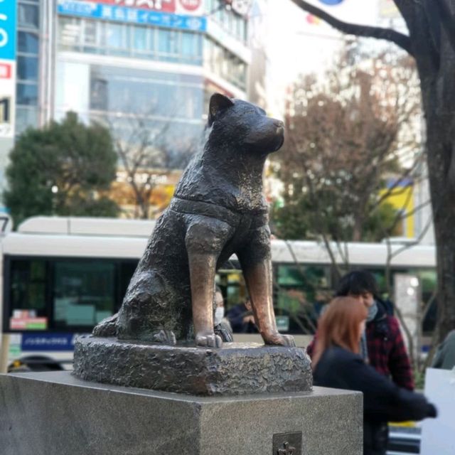 Tokyo | Japan 🇯🇵 ย่าน Shibuya