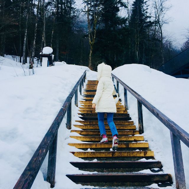 [할슈타트] 소금 광산&전망대 구경🏔