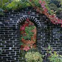 Garden with Fall colors 