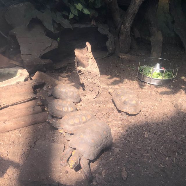 海洋公園遊記