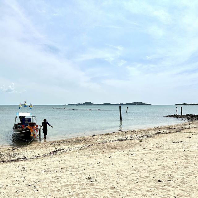เกาะแตน ชมปะการัง