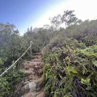 魔鬼山，探軍事古蹟維港靚景，有特色的歷史行山路線