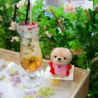上環 | Ask Cafe | 花草系咖啡店