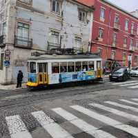 Tram 28 and Cards