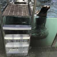 เที่ยว Central Park Zoo กัน