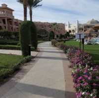 beautiful resort in the Red Sea! 