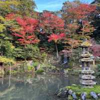 【石川】兼六園の紅葉🍁
