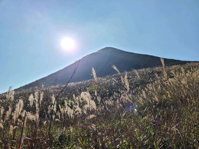 【秋冬賞芒系列~大東山🌾】