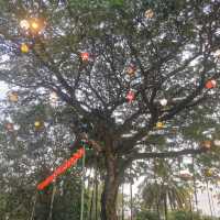 กราบไหว้ศาลหลักเมือง​