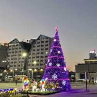 목포 평화광장의 보라색 트리 