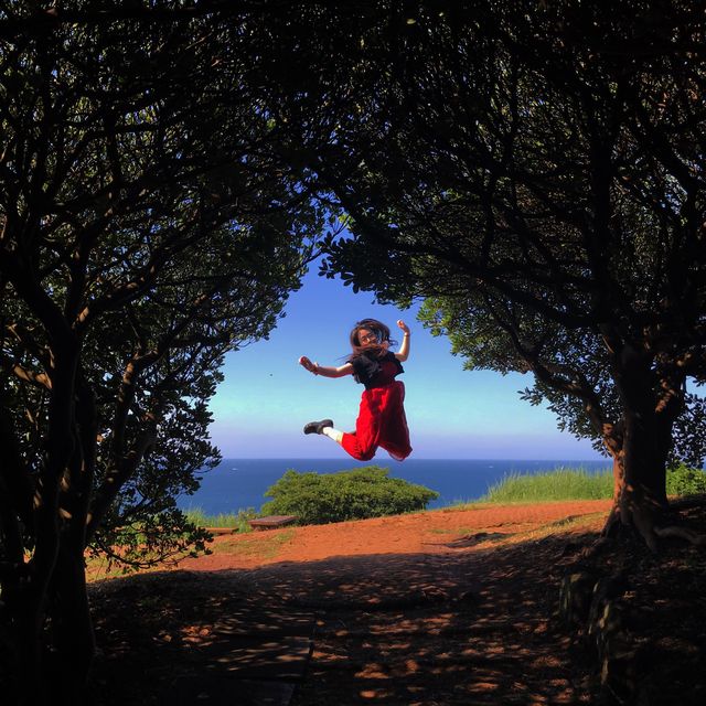 달달함의 시각화 키세스 존, 도두봉🌳