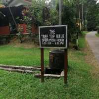 Tree Top Walk Sungai Sedim Kedah 🇲🇾