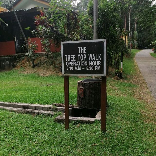 Tree Top Walk Sungai Sedim Kedah 🇲🇾