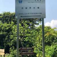 香港行山｜金山郊野公園（馬騮山）🐒🐒🐒🐒