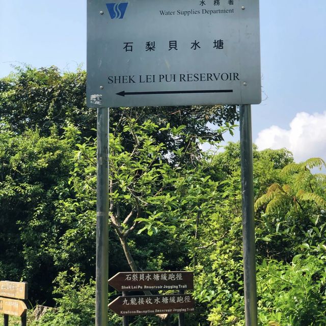香港行山｜金山郊野公園（馬騮山）🐒🐒🐒🐒