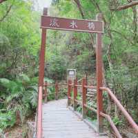 打卡流水響郊遊徑.紅葉