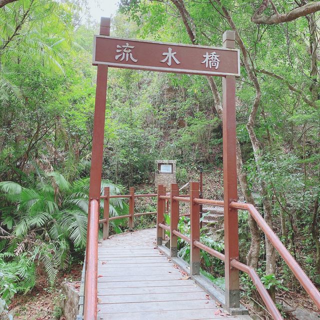打卡流水響郊遊徑.紅葉