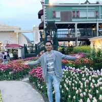 Everland Theme Park