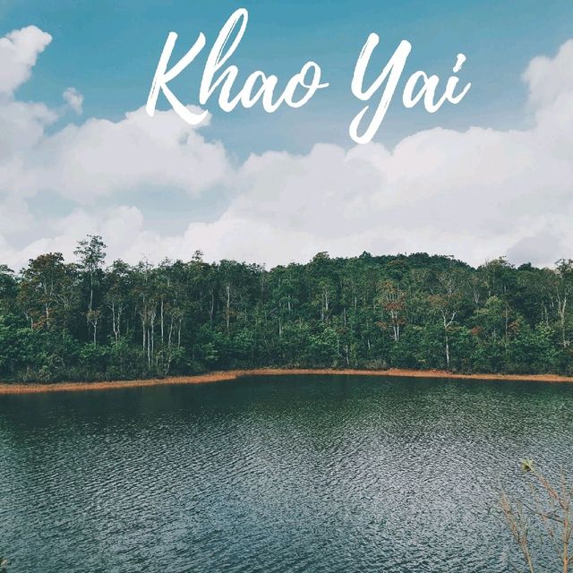 อุทยานแห่งชาติเขาใหญ่ 🌳