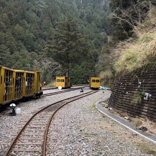 太平山兩天一夜之旅