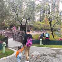 行到腳軟既荔枝角公園