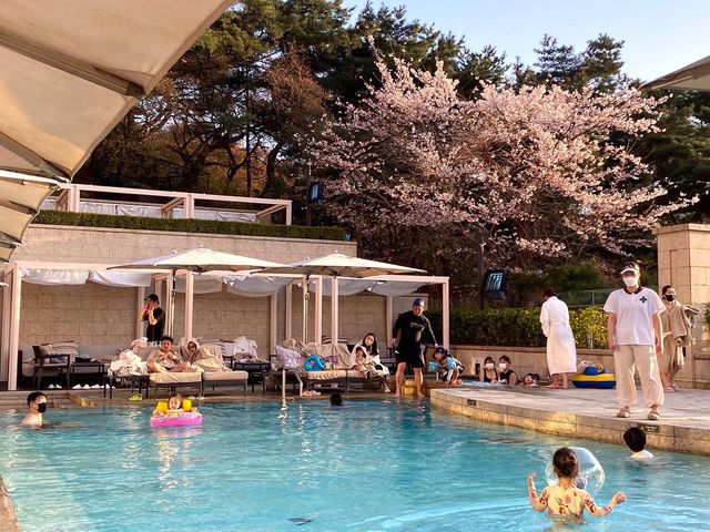 🏝도심 속 오아시스, ‘어번 아일랜드’ 