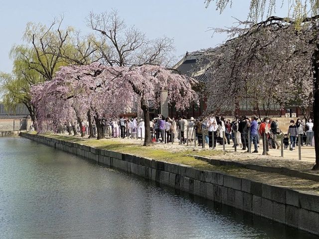 경회루 특별관람