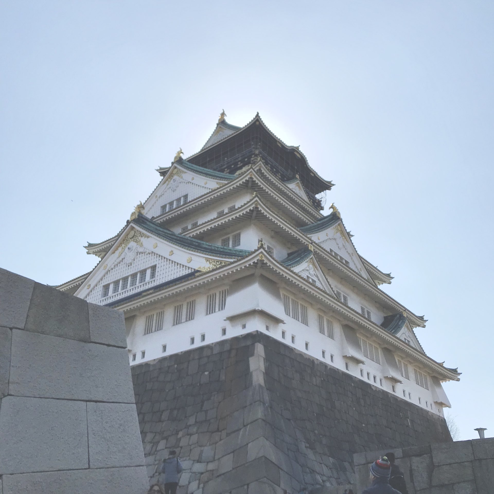 大阪道頓堀 Trip Com 大阪trip Moments 貼文