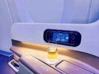 Singapore Airlines Business Class