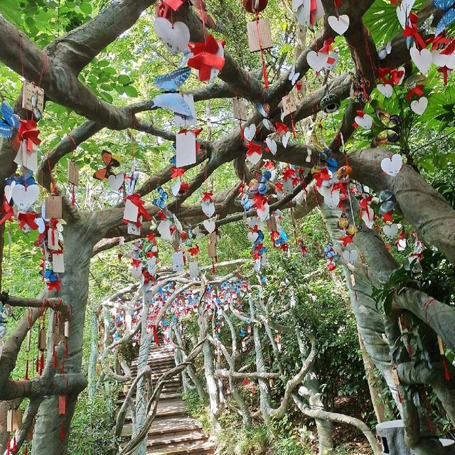 Tianmu Lake 