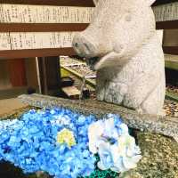 【京都】足腰・病気平癒の「いのしし神社」