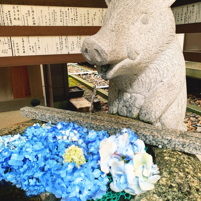【京都】足腰・病気平癒の「いのしし神社」