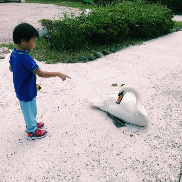 日本福岡必玩 - 海之中道公園