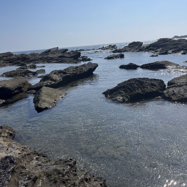城ヶ島🪨🌊🌞