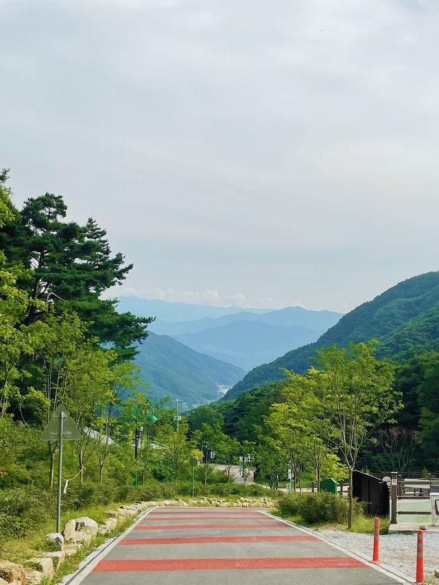 너무 깨끗하고 좋았던 "대봉산 휴양밸리" 시설리뷰
