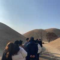 경주에 왔으면 대릉원 포토존은 꼭 !