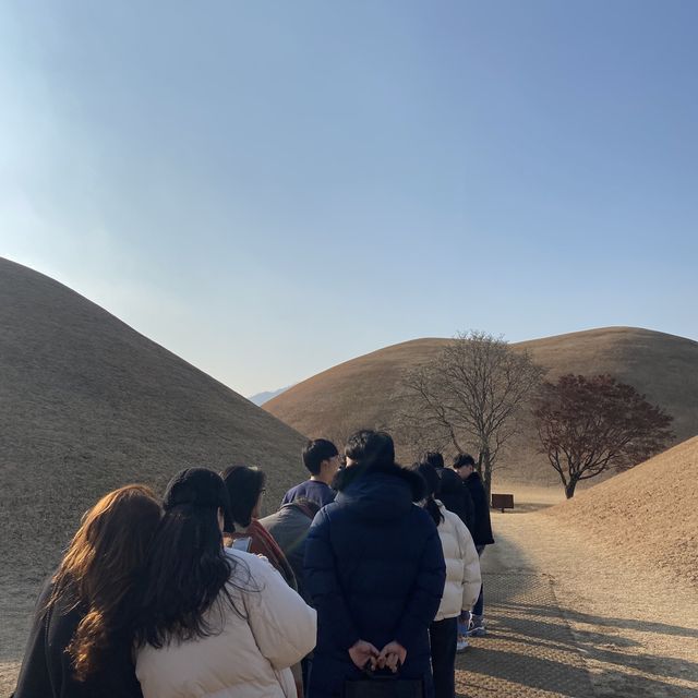 경주에 왔으면 대릉원 포토존은 꼭 !