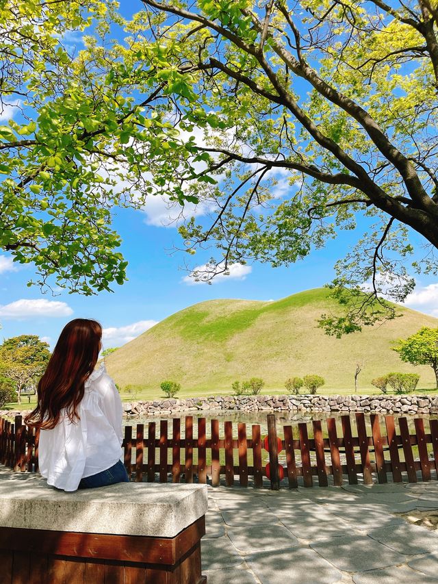 경주 핫플 여행지 모아모아💚 
