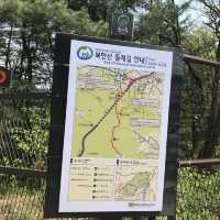 풀내음이 뿜뿜한 북한산 들레길 걷기🫶🍀