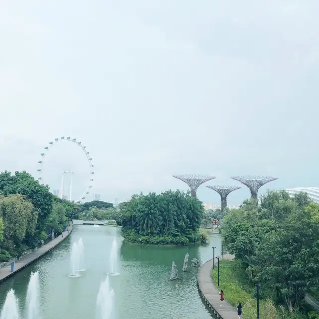 自然景觀 心曠神怡 Singapore Gardens by the bay