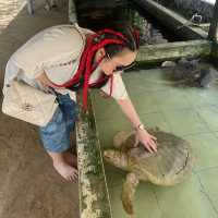 turtle park-bali