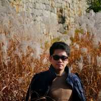 Suwon Fortress 