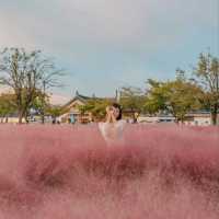 🌸핑크빛 물결이 넘실거리는 풍경과 한국의 조화 [경주, 첨성대]
