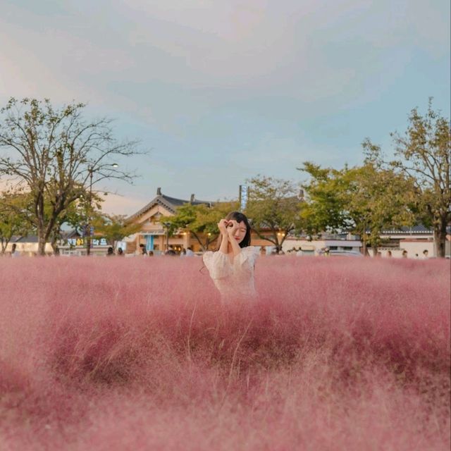 🌸핑크빛 물결이 넘실거리는 풍경과 한국의 조화 [경주, 첨성대]